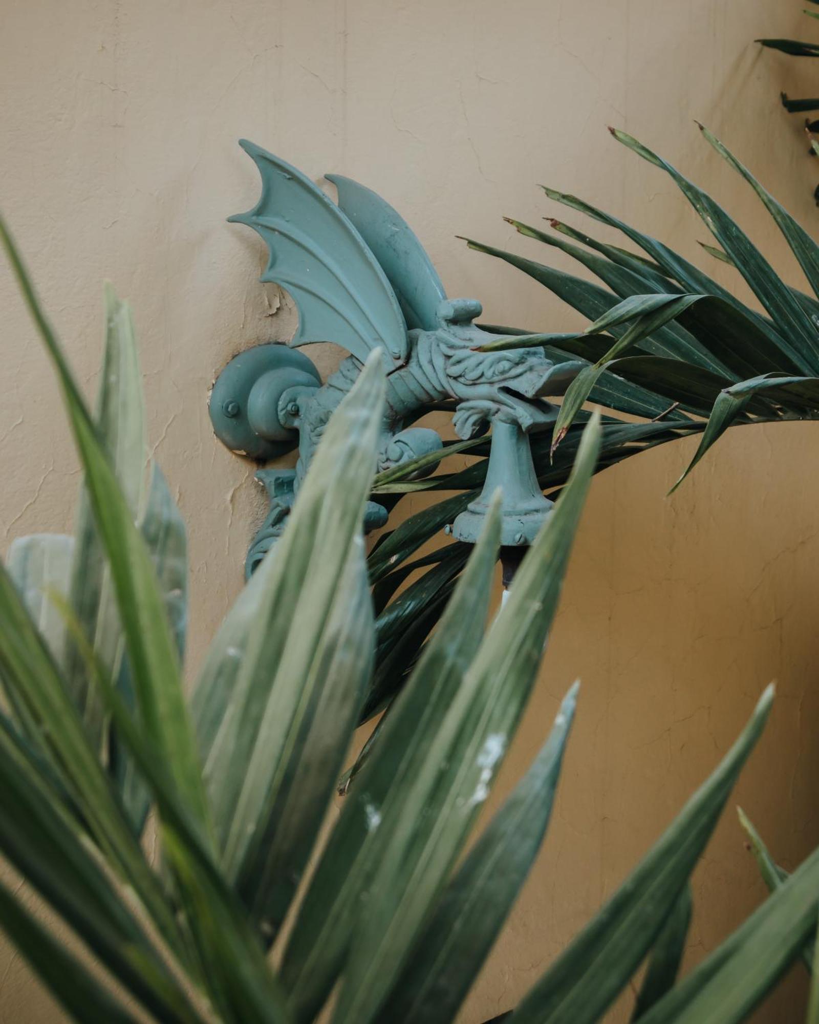 Bed and Breakfast Casa Florida San Miguel de Allende Exteriér fotografie